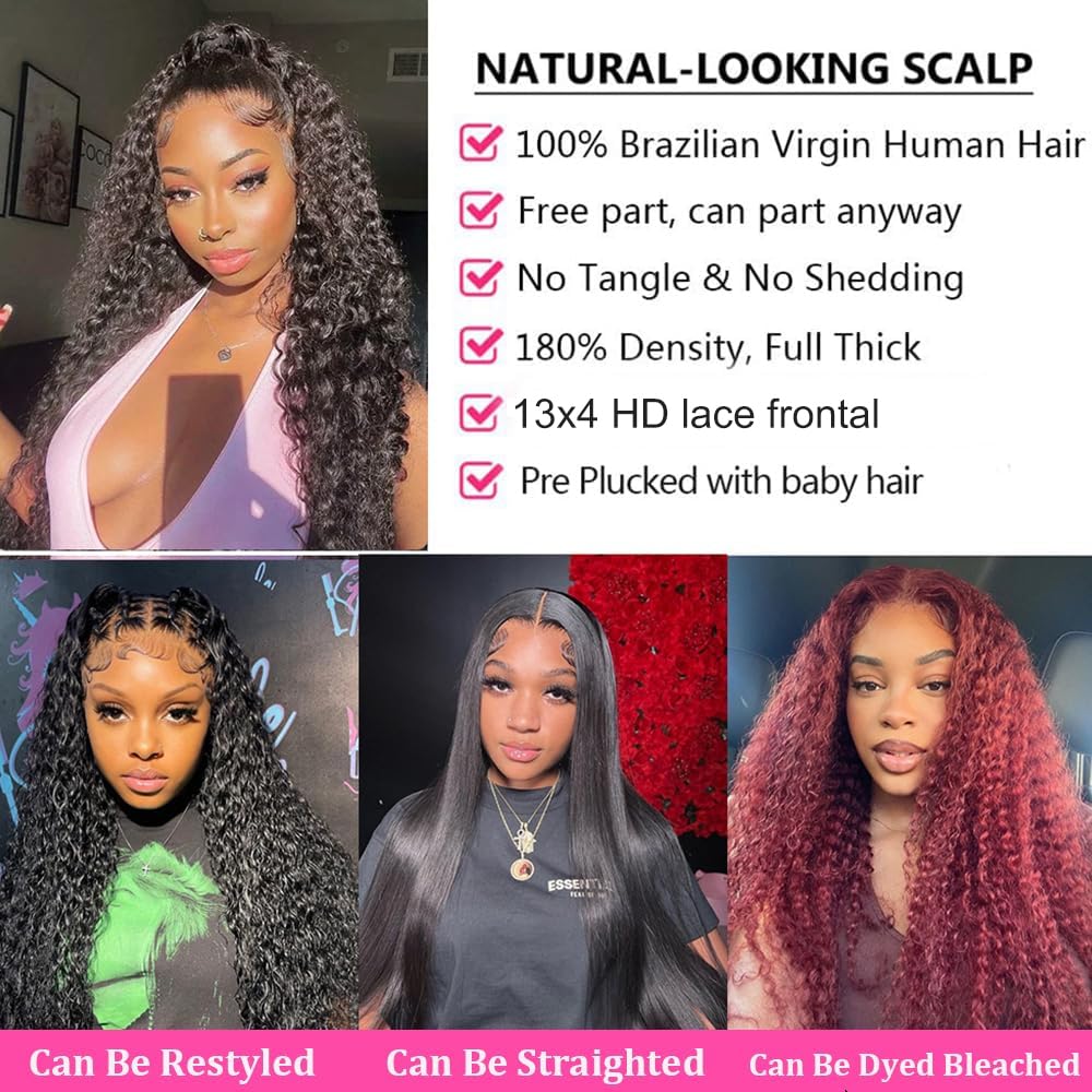 Ldjoy Wig Curly Glueless Wigs Human Hair Pre Plucked 13x4 HD Transparent Frontal Wigs Human Hair for Women Deep Natural Black