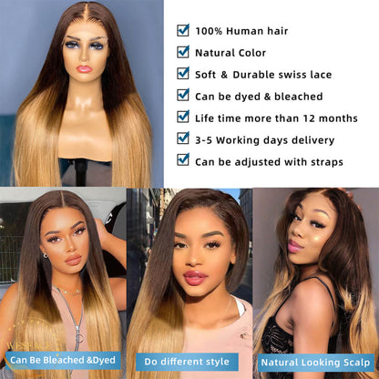 Ldjoy T2/27 Ombre Lace 13x4 Lace Front Wig pre plucked Glueless Highlight Ombre Long Straight Lace Front Wigs