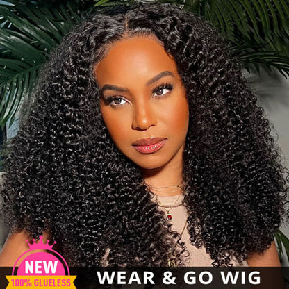 Curly Glueless Wig 5x5 &amp; 4x6 Pre Cut HD Lace Natual Black Human Hair Ldjoy Wigs